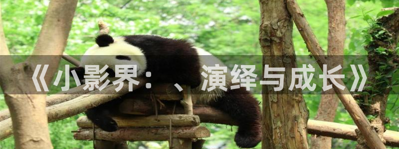奇米在线观看888：《小影界：、演绎与成长》