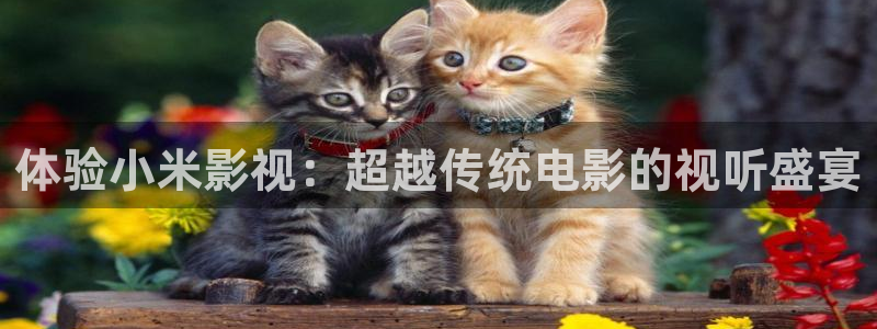 奇米在线精品视频：体验小米影视：超越传统电影的视听盛宴