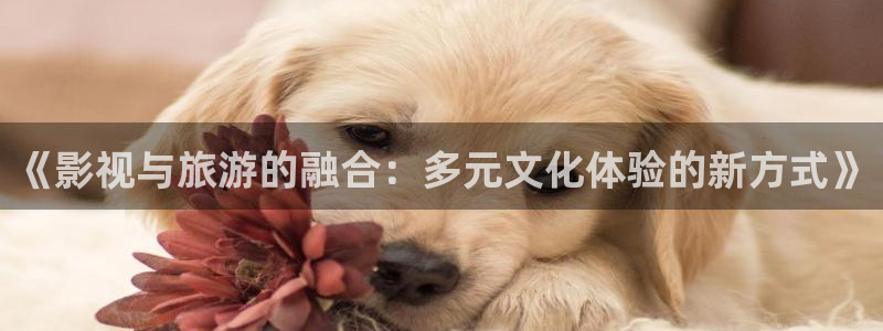 奇米在线：《影视与旅游的融合：多元文化体验的新方式》