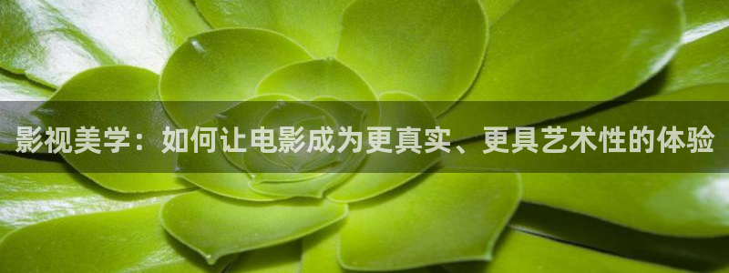 奇米在线视频：影视美学：如何让电影成为更真实、更具艺术性的体验