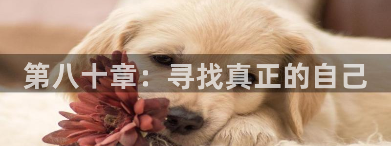 奇米在线视频777：第八十章：寻找真正的自己